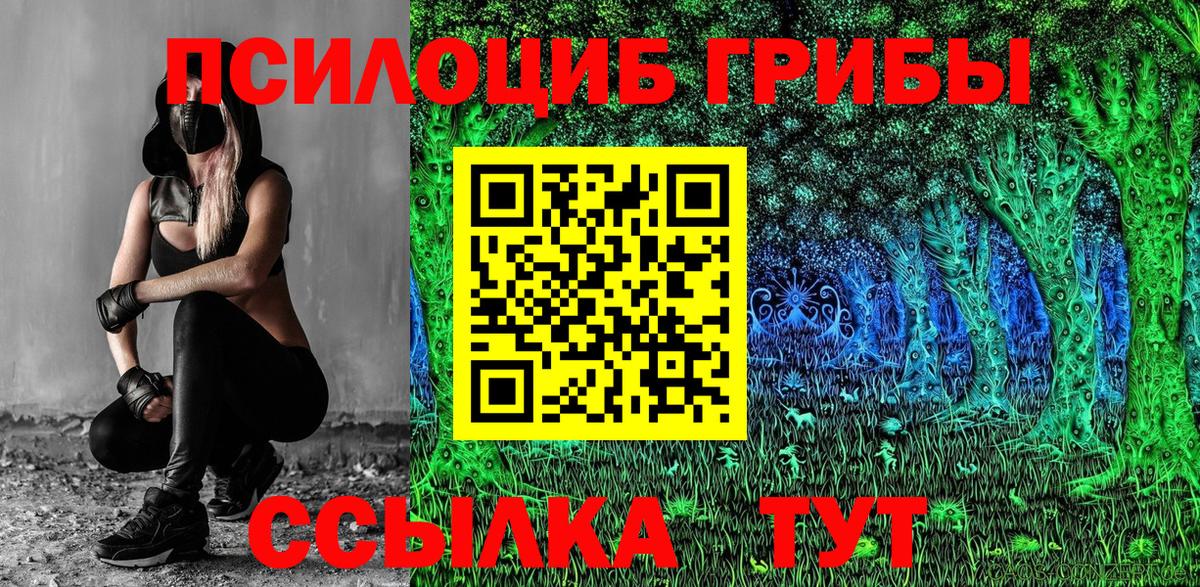 Галлюциногенные грибы ЛСД Зима